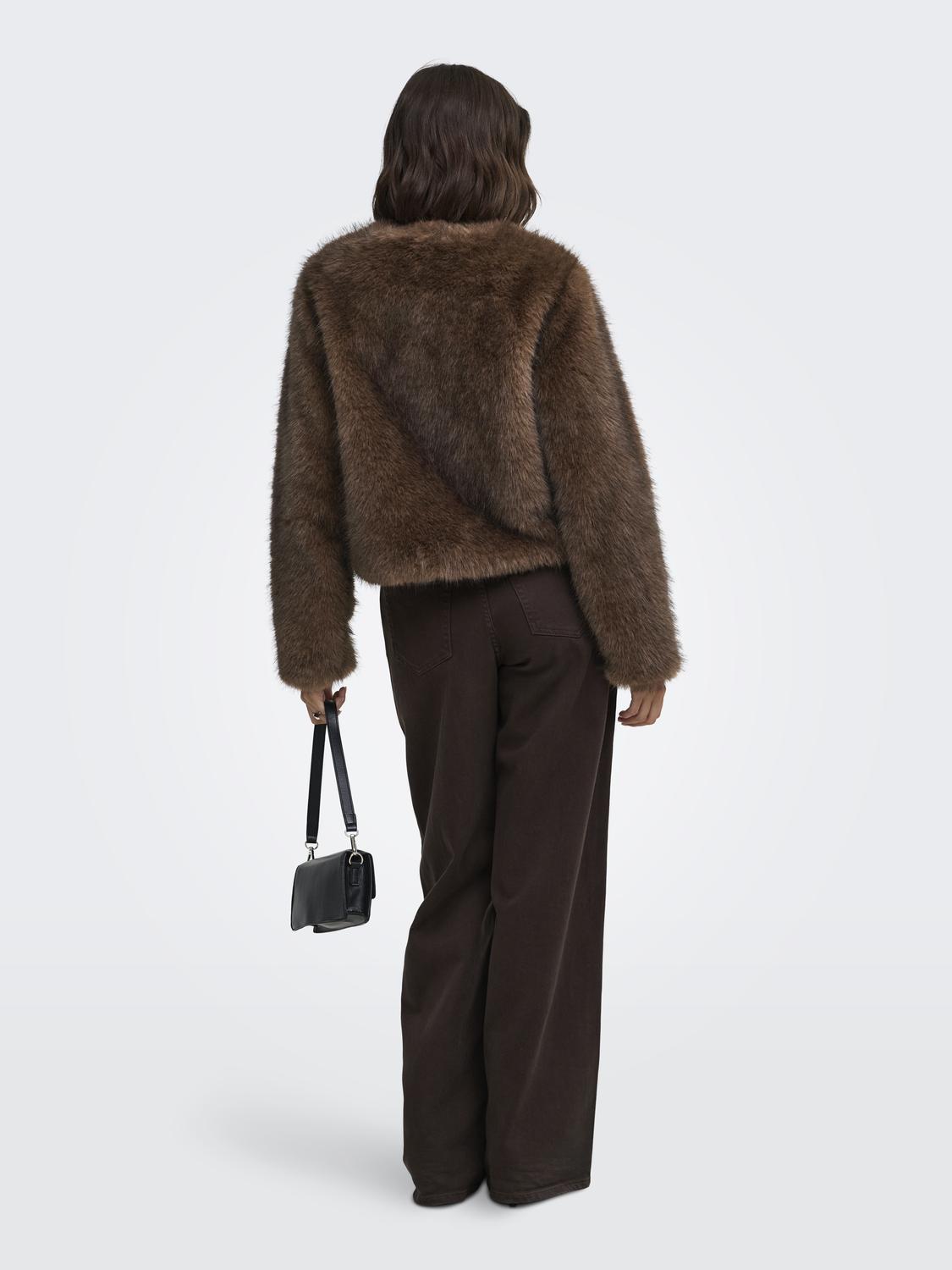 model_shot-back